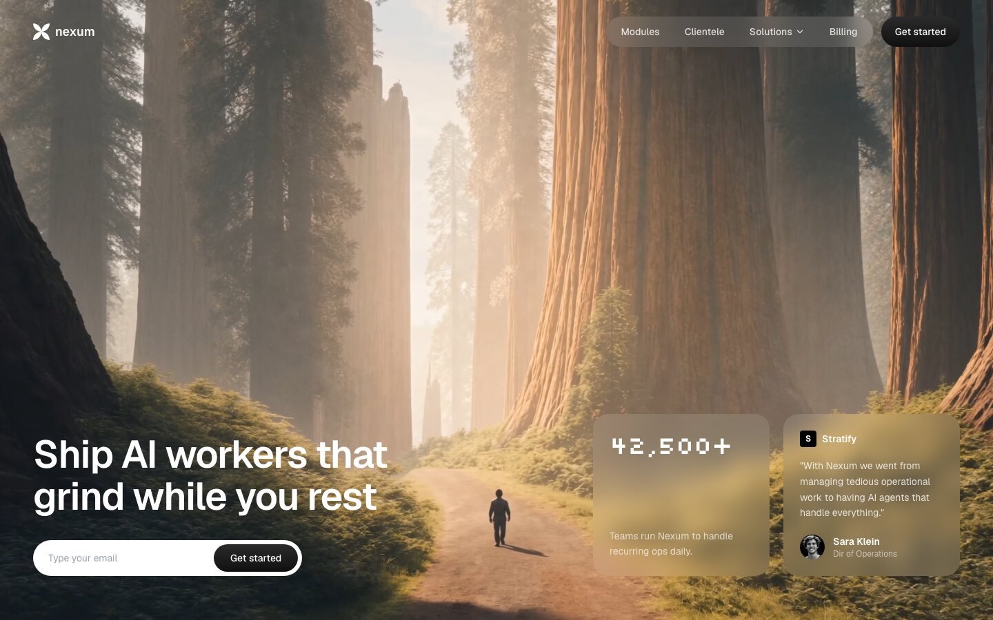 Nexum landing page, desktop screenshot